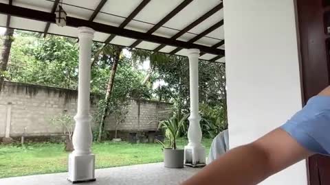   online show from January 28, 7:00 am