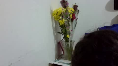 Elizabeth Martinez  online show from March 12, 7:09 pm