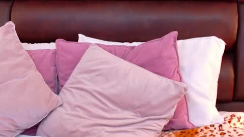 Ella Sanders online show from March 27, 11:48 pm