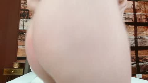 Elle online show from February 6, 6:40 am