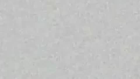Ellie online show from June 8, 2:17 pm