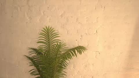 Snapshot of elliefrost chatting on March 11, 12:22 am elliefrost online show from March 11, 12:22 am