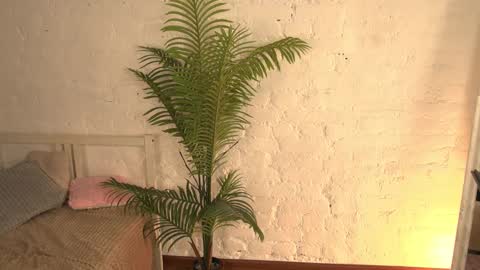 Snapshot of elliefrost chatting on March 11, 3:26 am elliefrost online show from March 11, 3:26 am