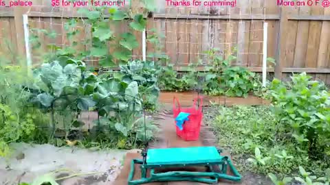 Snapshot of ells_palace chatting on July 22, 1:47 pm Ella Bella Bo Bella online show from July 22, 1:47 pm