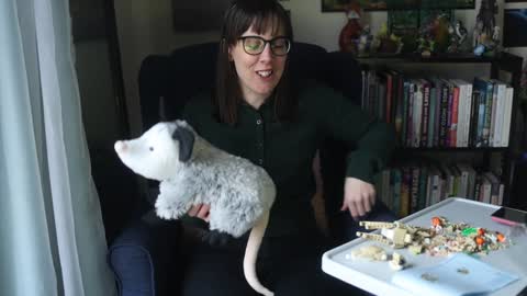 Elly Naomi online show from January 31, 4:38 pm