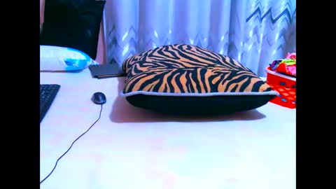 Snapshot of elodielynn chatting on May 19, 4:41 am elodielynn online show from May 19, 4:41 am