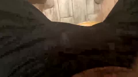 Snapshot of elparador chatting on December 8, 7:58 am El Parador online show from December 8, 7:58 am