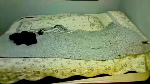 Elpouro online show from March 7, 10:01 am