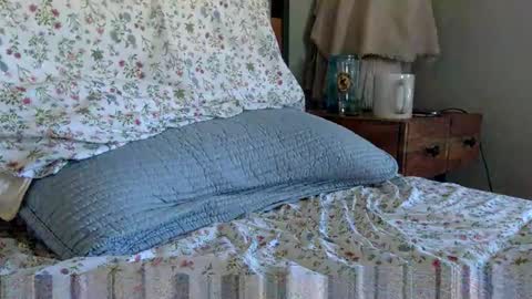 elviscash online show from April 9, 1:16 pm