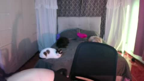 Emily  Swan online show from April 26, 1:47 am