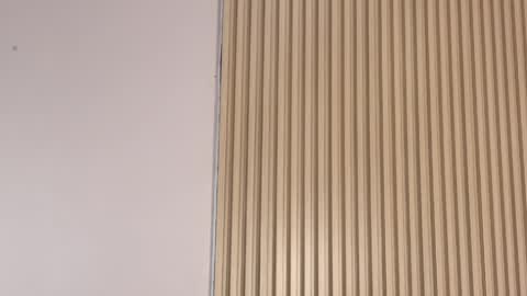 Emily online show from April 3, 12:25 pm