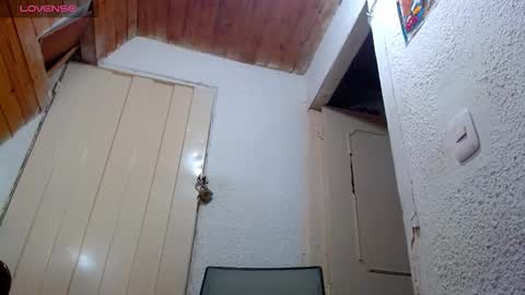 Nickole online show from February 24, 4:05 pm