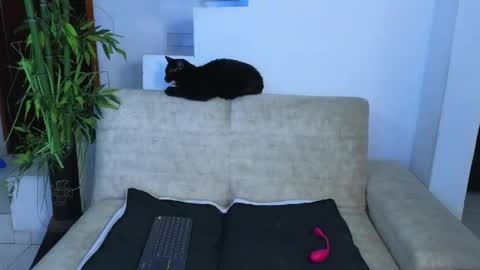 Snapshot of emma_blue_ chatting on April 23, 3:08 am Emma Blue modelo independiente online show from April 23, 3:08 am