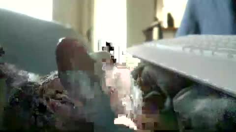 Snapshot of encormoi chatting on November 11, 8:47 am encormoi online show from November 11, 8:47 am