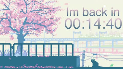 Erica online show from December 13, 10:19 am