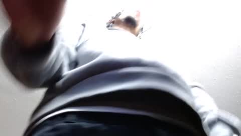 Snapshot of erick_martinezz chatting on February 22, 3:01 am erick online show from February 22, 3:01 am