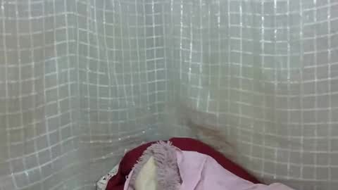 erotic_ebony56 online show from April 16, 8:04 am