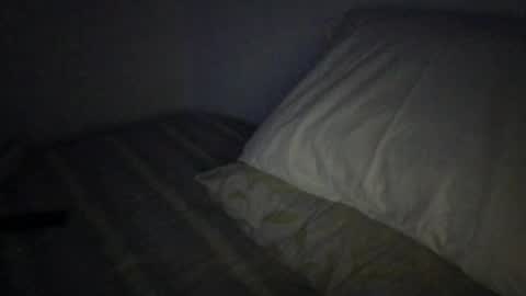 hereforagoodtimenotalongtime online show from May 23, 5:23 am
