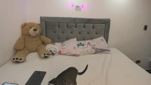 estehefany_gil online show from January 8, 1:08 am