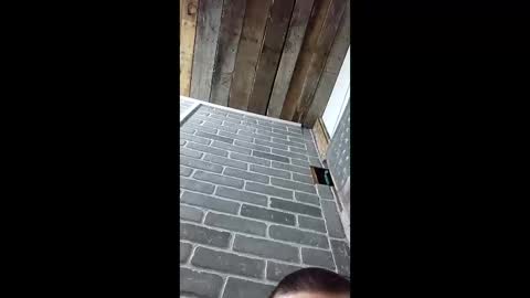 ethanfish600 online show from March 3, 7:25 am