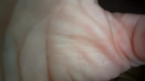 Snapshot of ethereumumm chatting on October 31, 6:31 pm ethereumumm online show from October 31, 6:31 pm