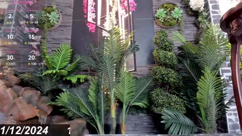 Snapshot of eva_coluccy chatting on December 12, 4:21 pm EVA COLUCCY online show from December 12, 4:21 pm