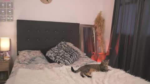 evajacksss_ online show from February 12, 9:21 pm