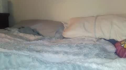 evangeline69xxx online show from February 20, 6:26 am