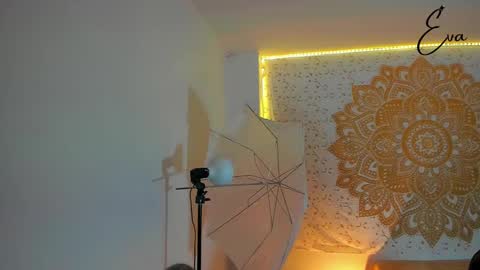 Snapshot of evarmirezz chatting on December 31, 1:47 am Eva Rmirezz online show from December 31, 1:47 am