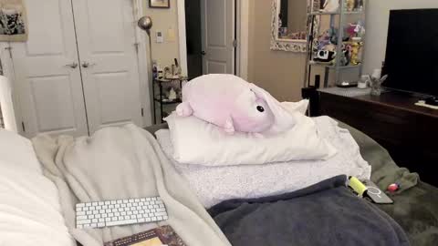 Goddess Eve online show from January 31, 2:15 am