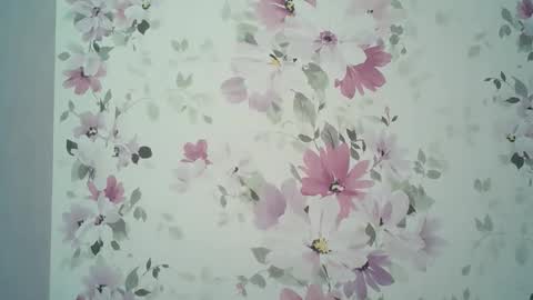 Snapshot of eveliina_shy chatting on April 6, 1:01 pm Evelina online show from April 6, 1:01 pm