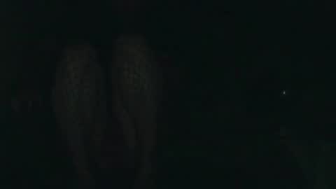 Snapshot of evermore8807 chatting on December 14, 4:07 am evermore8807 online show from December 14, 4:07 am