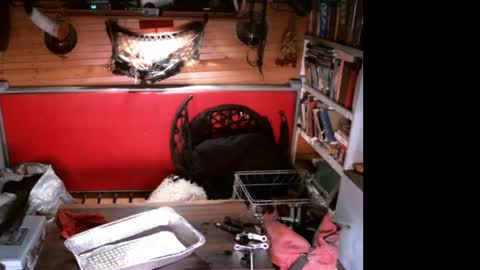 Snapshot of evpierce chatting on April 11, 7:13 am EvPierce online show from April 11, 7:13 am