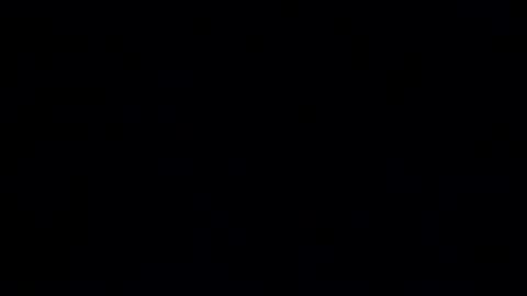 exhibitionvoyeurlive online show from March 14, 9:15 am