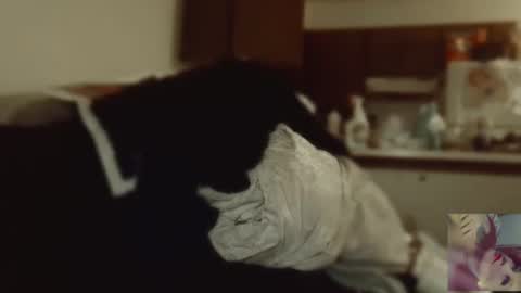 Snapshot of exoticlexi chatting on September 9, 8:08 pm Exoticlexxii online show from September 9, 8:08 pm