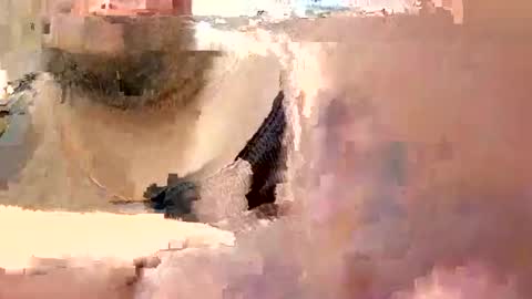 eyyoboobo0 online show from March 19, 6:12 pm