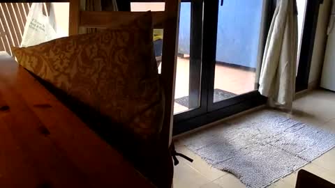 Fabro online show from April 23, 8:13 am