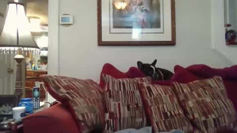 fairmount31 online show from November 1, 10:12 pm