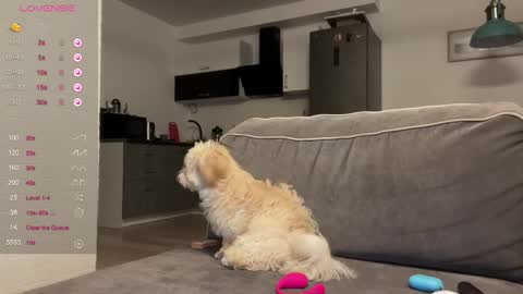 Bloom  online show from April 22, 6:53 pm