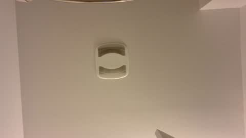 fairyboycvm online show from November 8, 7:23 pm