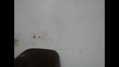 fairyslut9 online show from March 2, 11:44 pm