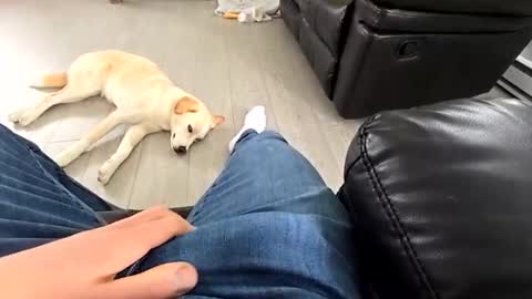 faker1414 online show from March 19, 3:49 pm