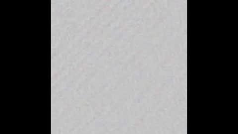 Falkor online show from March 15, 7:42 pm