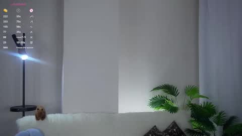 Kim online show from February 6, 2:42 pm