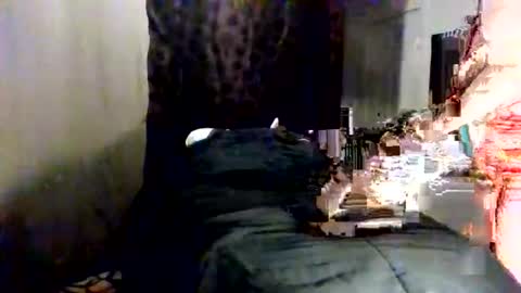 Snapshot of fancie8 chatting on June 8, 10:54 pm Fancie8 online show from June 8, 10:54 pm
