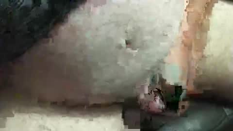 Snapshot of fatdaddy4you chatting on September 20, 3:35 pm fatdaddy4you online show from September 20, 3:35 pm