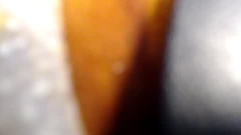Snapshot of fckyariangel chatting on January 10, 2:46 am fckyariangel online show from January 10, 2:46 am