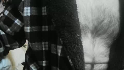 feardubh online show from March 12, 9:26 am