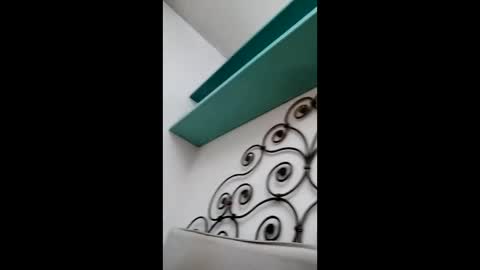 fed884 online show from March 23, 8:13 pm