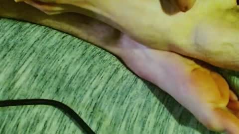 Snapshot of feelingverynaughty chatting on January 30, 1:44 am ask me online show from January 30, 1:44 am